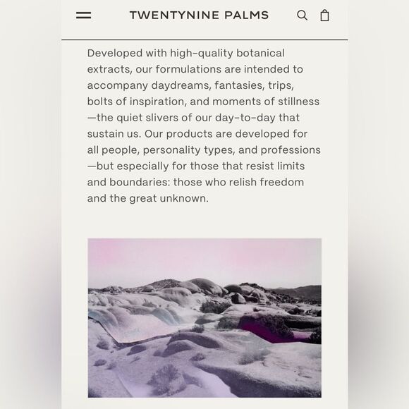 29 Palms | Desert Tumbleweed Shampoo - Picture 10 of 10